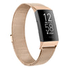 The Cindy Babe Band - Fitbit Band